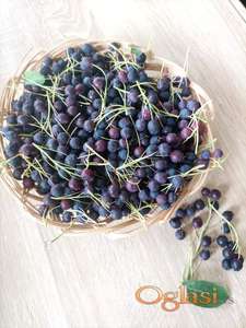 Rušvica (Amelanchier, Mongolska borovnica)